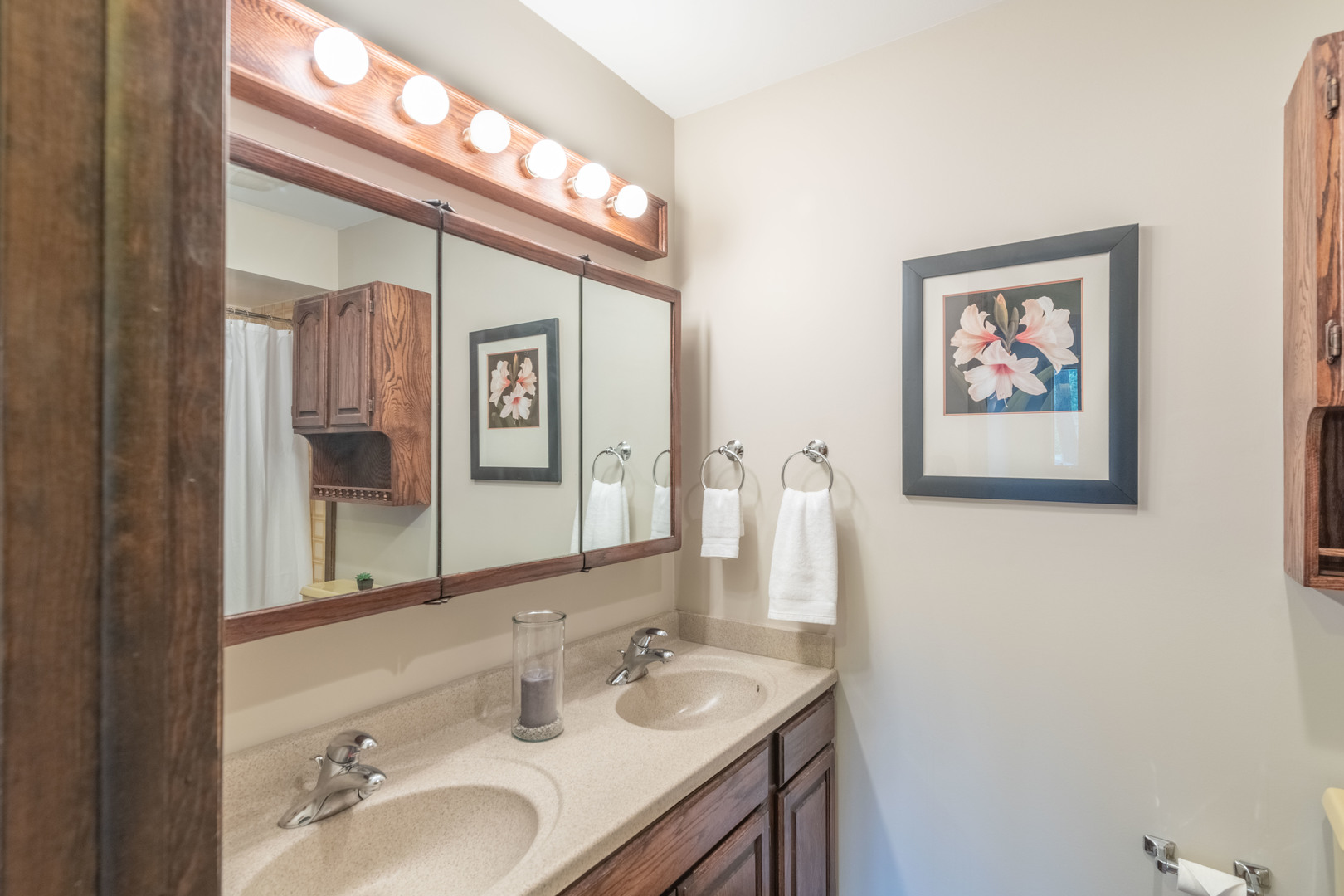 7N730 Sycamore Road St. Charles, IL 60175 - Photo 26 of 40 a bathroom with a sink and a mirror