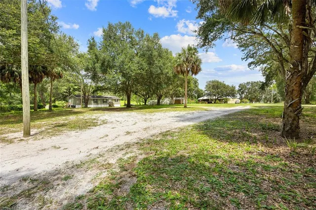 a view of a yard with a tree