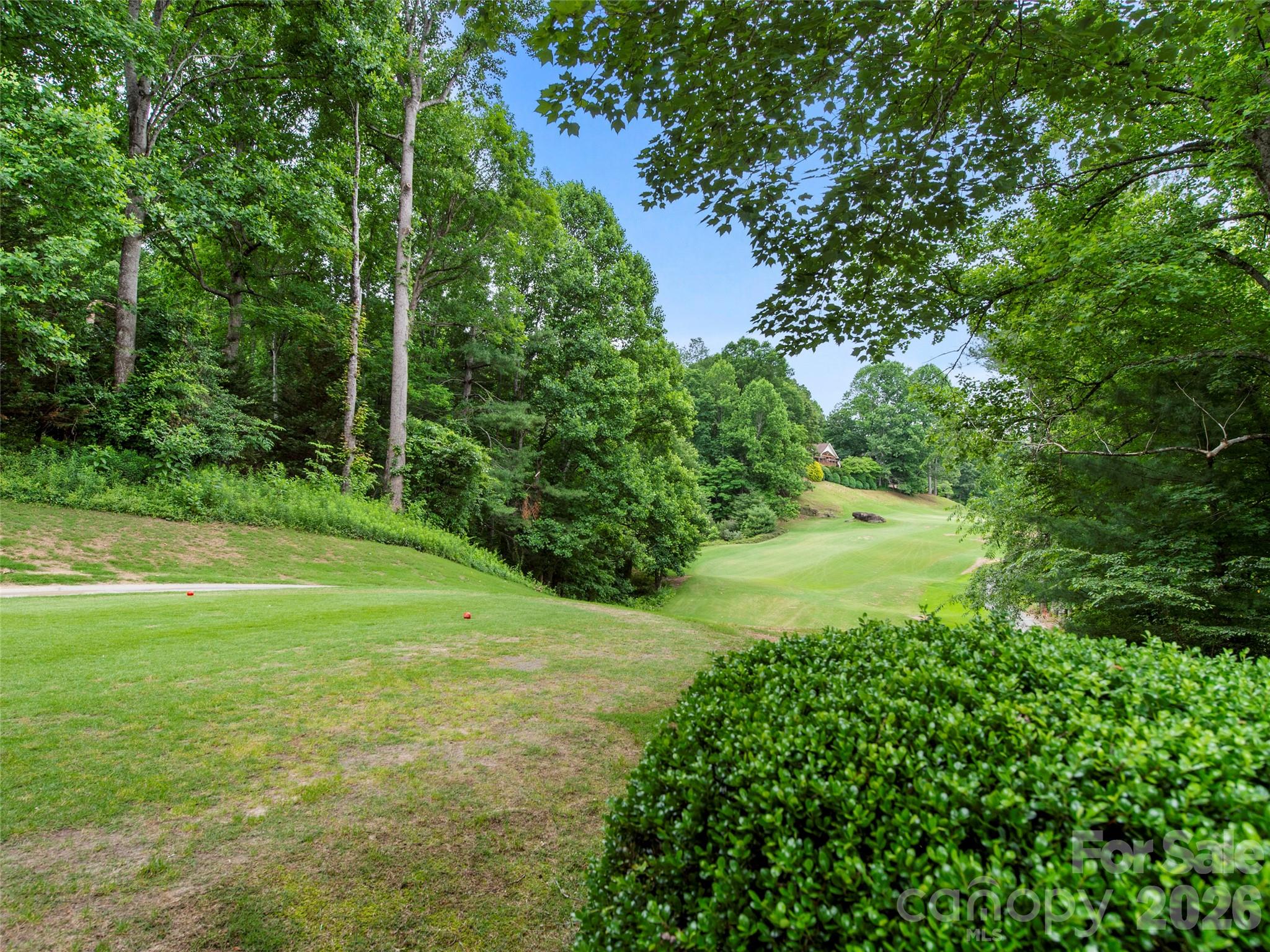 83 Laurel Ridge Place Hendersonville, NC 28739 - Photo 25 of 27