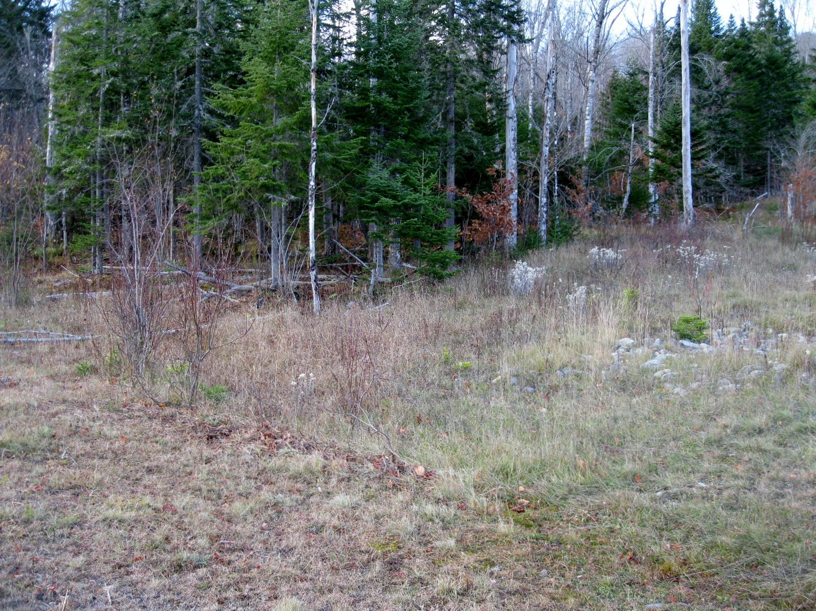 1 West Side Road Oquossoc, ME 04964 - Photo 8 of 8 rangeley west lsitings 013