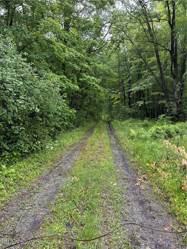 9161 Robinson Road Chardon, OH 44024 - Photo 1 of 5