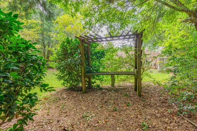 a view of a yard with a tree