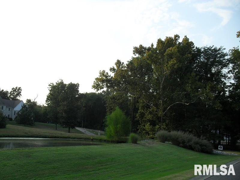 Lot 29 Lot Ridge Carbondale, IL 62901 - Photo 8 of 12 Gallery Image 8