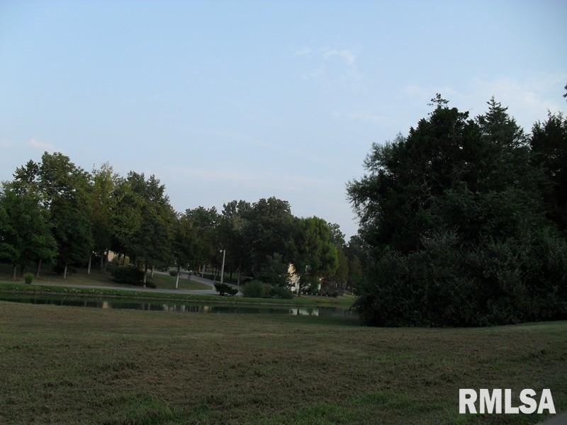 Lot 29 Lot Ridge Carbondale, IL 62901 - Photo 9 of 12 Gallery Image 9