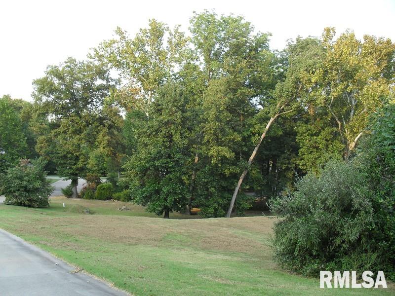 Lot 29 Lot Ridge Carbondale, IL 62901 - Photo 10 of 12 Gallery Image 10