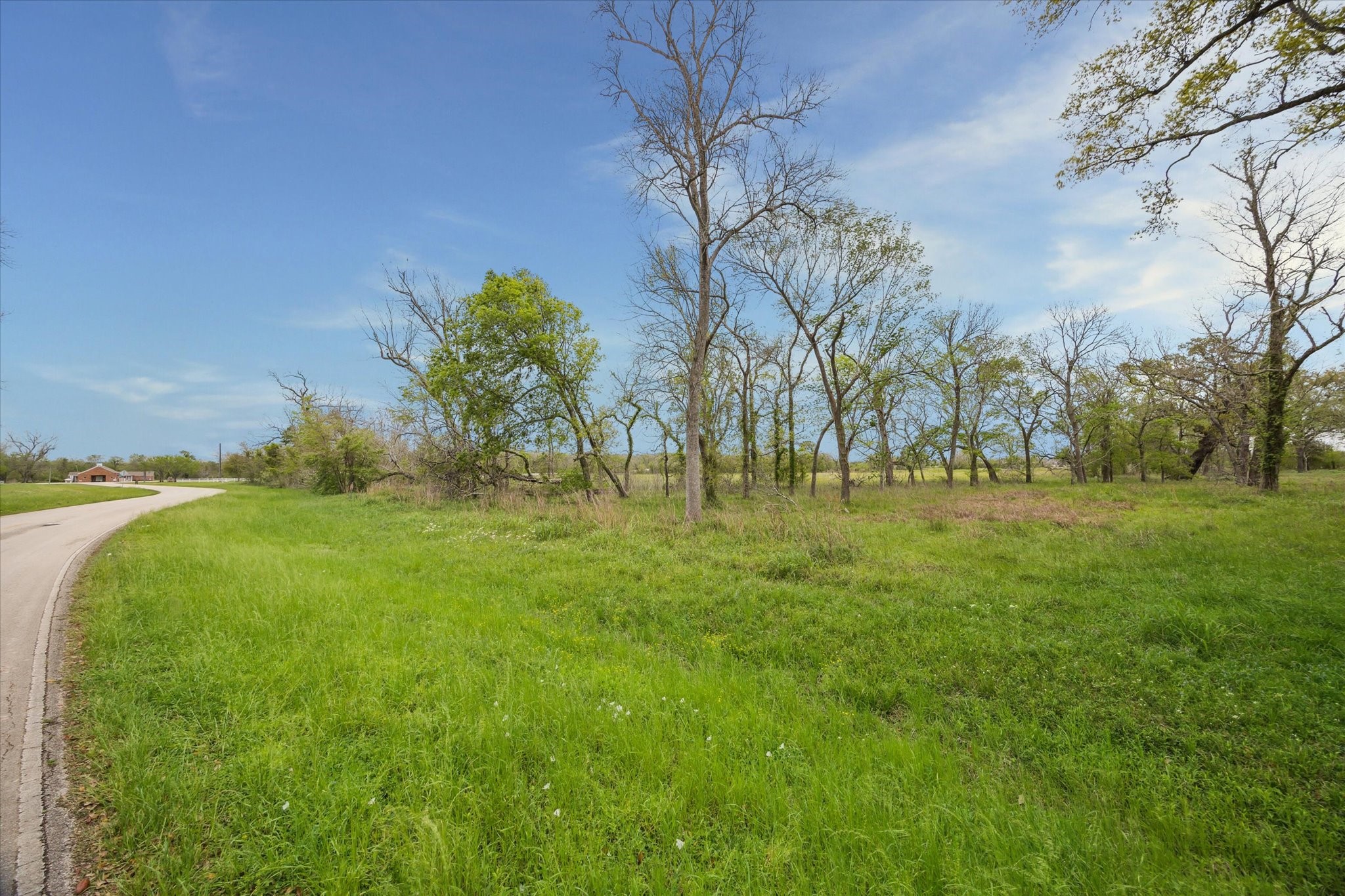 16219 Tankersley Drive Rosharon, TX 77583 - Photo 3 of 5 a view of yard with green space