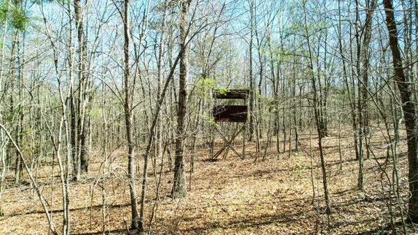 $263,000 | 40 County Road 492, Henagar, AL 35978
