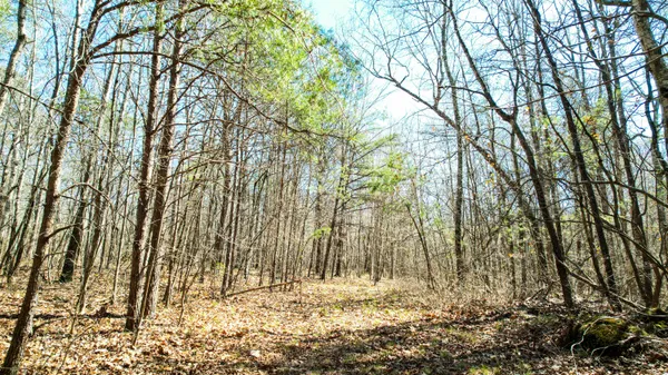$263,000 | 40 County Road 492, Henagar, AL 35978