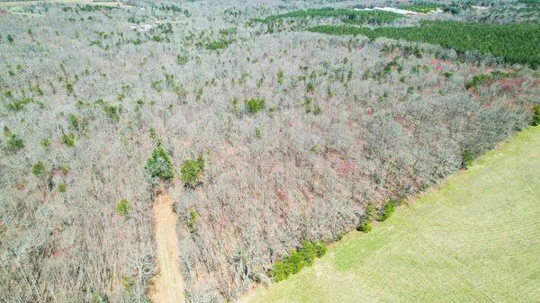 $263,000 | 40 County Road 492, Henagar, AL 35978