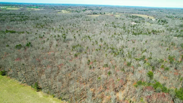 $263,000 | 40 County Road 492, Henagar, AL 35978