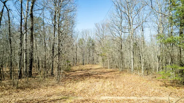 $263,000 | 40 County Road 492, Henagar, AL 35978