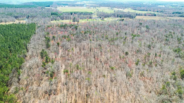 $263,000 | 40 County Road 492, Henagar, AL 35978