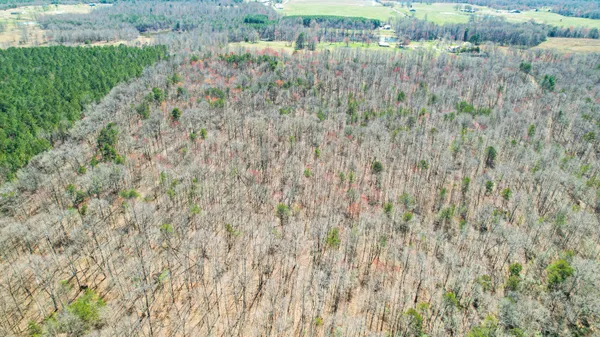 $263,000 | 40 County Road 492, Henagar, AL 35978