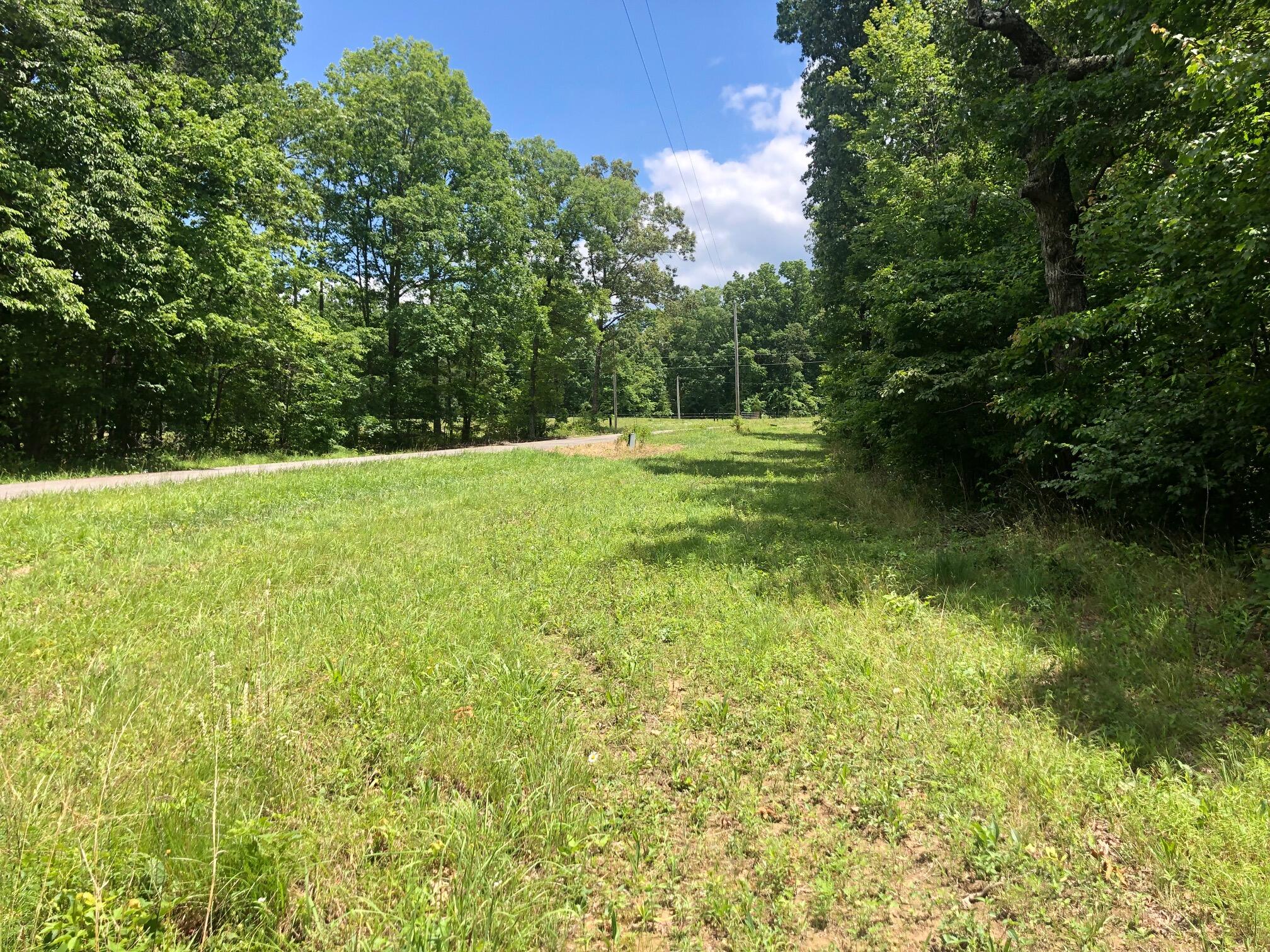 0 Locust Road Dunlap, TN 37327 - Photo 1 of 18 IMG_6821