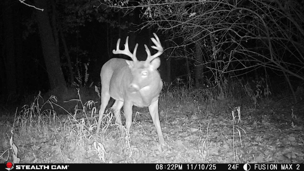N8570 Holseth Road Holland, WI 54636 - Photo 25 of 25 AD0844C0-F3E7-4887-8D6A-C01F3D5EBCF1