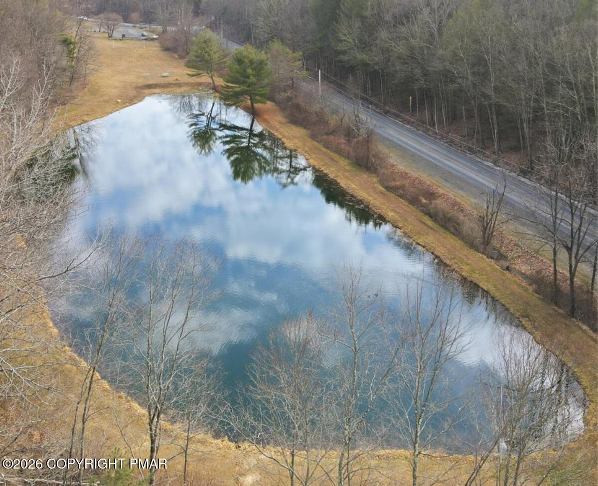 239 Sundance Road Effort, PA 18330 - Photo 59 of 60 a view of a yard