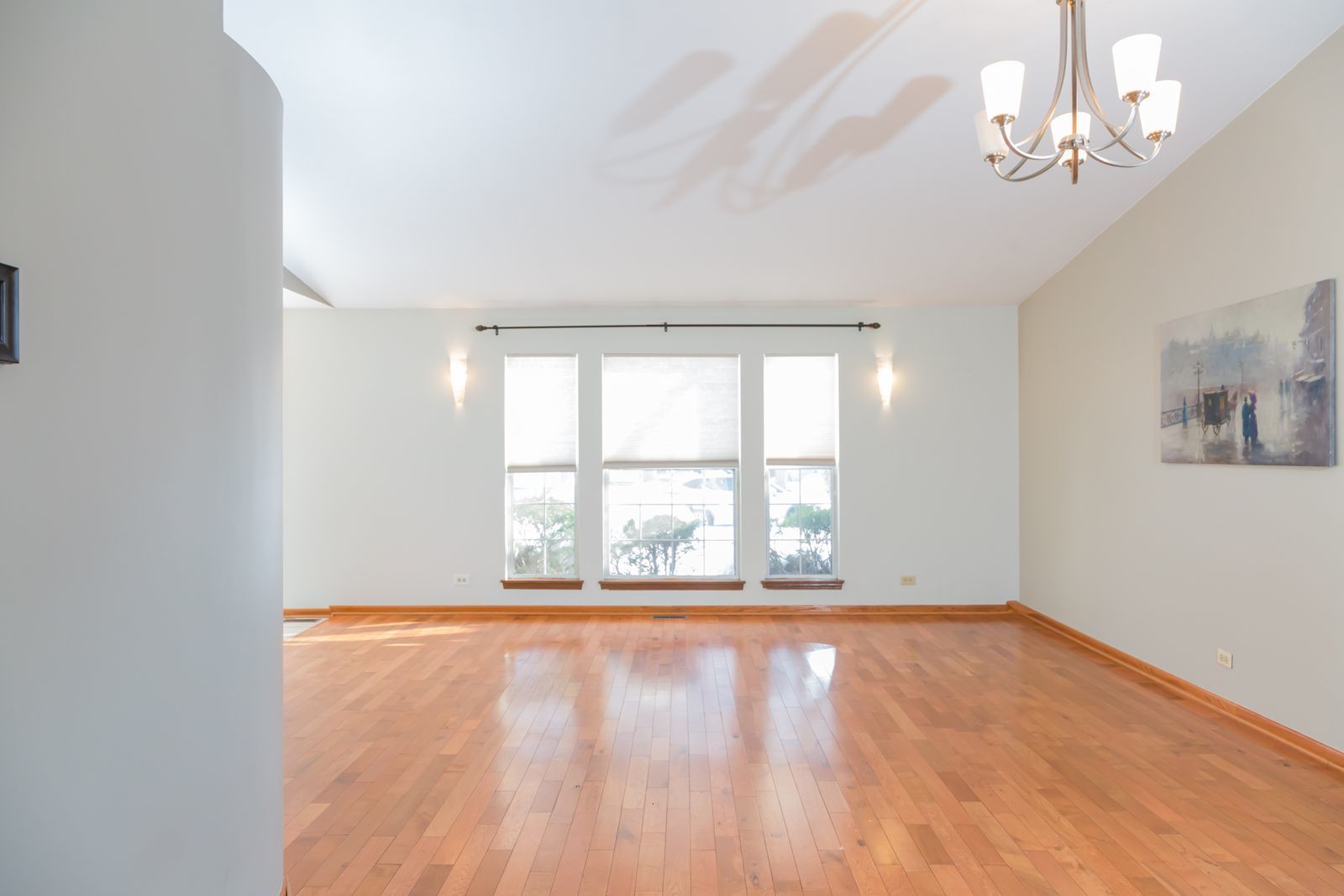 170 Dickens Trail Elgin, IL 60120 - Photo 4 of 17