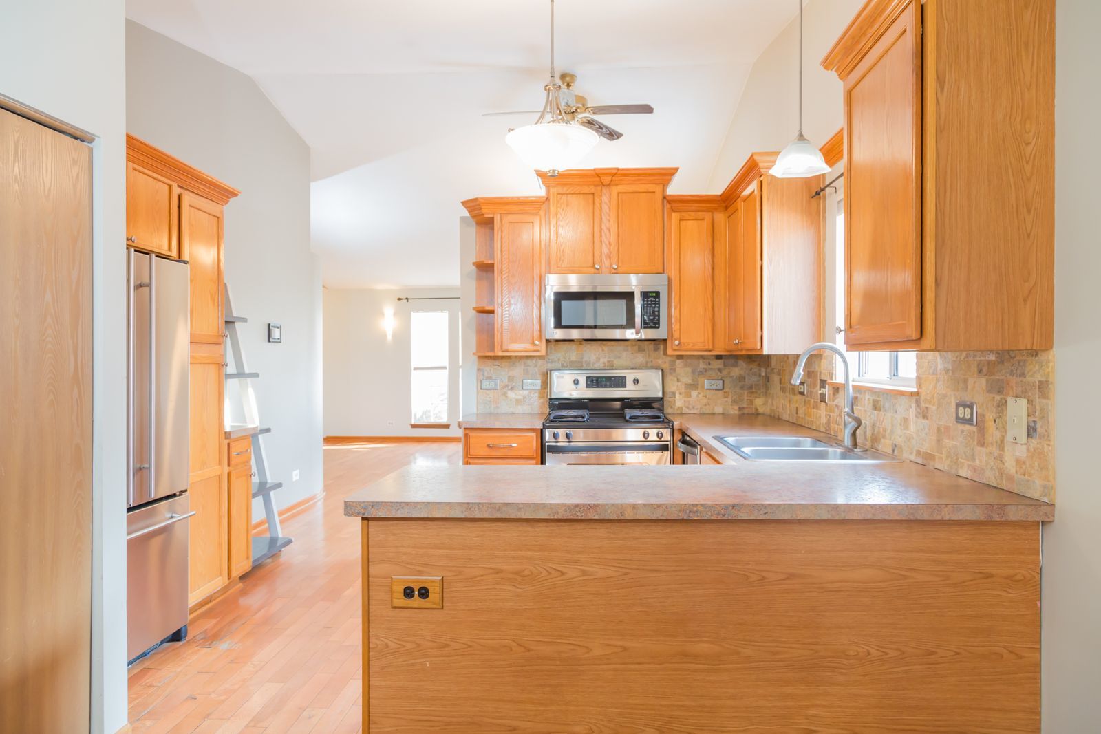 170 Dickens Trail Elgin, IL 60120 - Photo 5 of 17