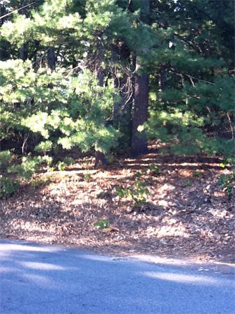 32 Maple Road Westford, MA 01886 - Photo 1 of 29 Gallery Image 1
