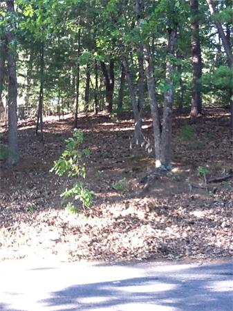 32 Maple Road Westford, MA 01886 - Photo 2 of 29 Gallery Image 2