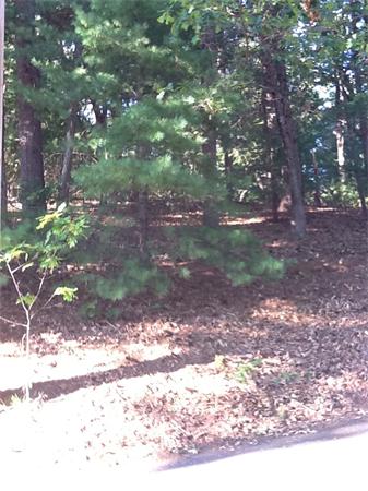 32 Maple Road Westford, MA 01886 - Photo 3 of 29 Gallery Image 3