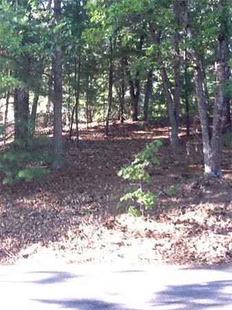 32 Maple Road Westford, MA 01886 - Photo 4 of 29 Gallery Image 4