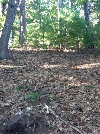 32 Maple Road Westford, MA 01886 - Photo 5 of 29 Gallery Image 5