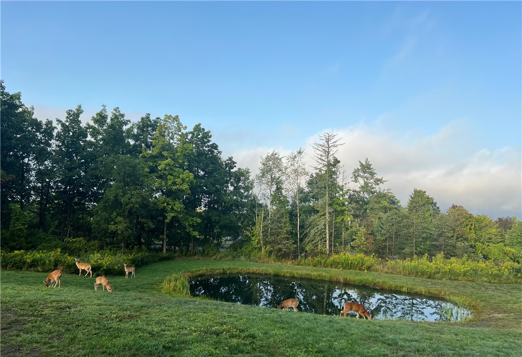 2402 County Road Burdett, NY 14818 - Photo 3 of 50