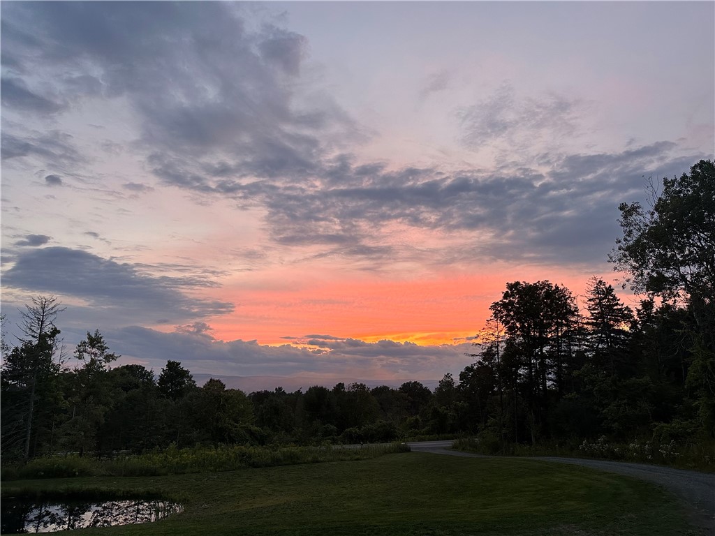 2402 County Road Burdett, NY 14818 - Photo 4 of 50