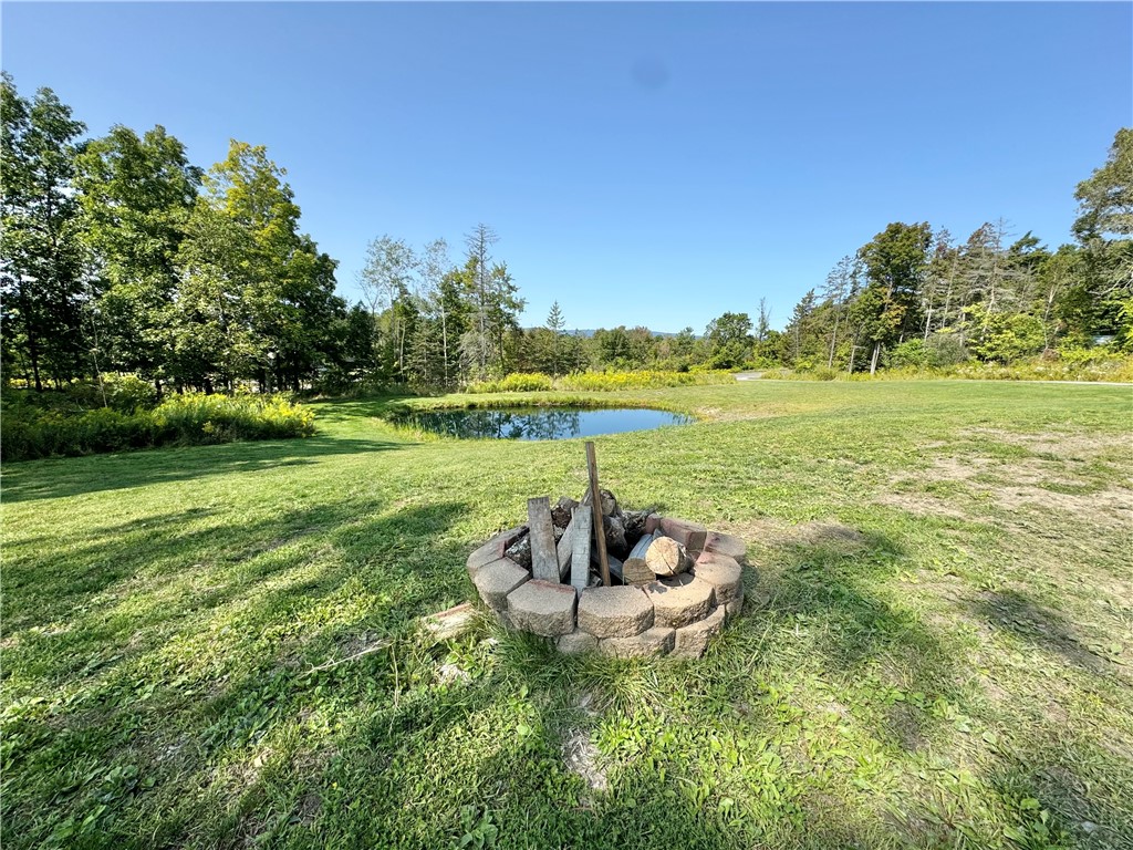 2402 County Road Burdett, NY 14818 - Photo 6 of 50