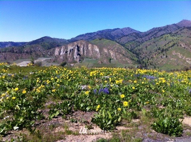 6861 Stine Hill Road Cashmere, WA 98815 - Photo 24 of 25