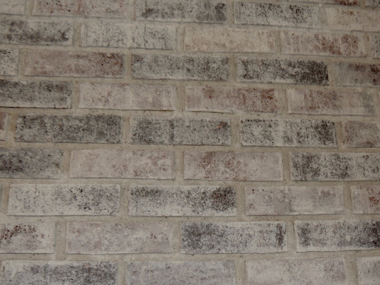 5620 West Gas Line Road Frankfort, IN 46041 - Photo 4 of 18 Gallery Image 4