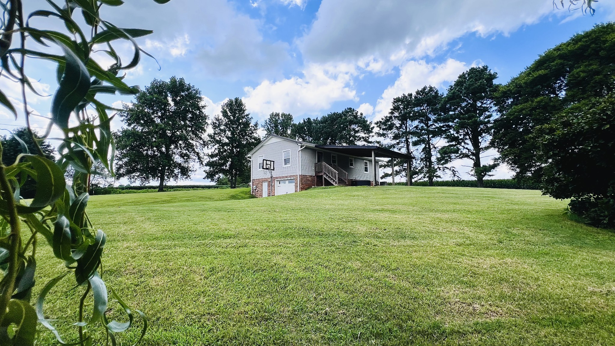 80 Gang Road Lawrenceburg, TN 38464 - Photo 4 of 44