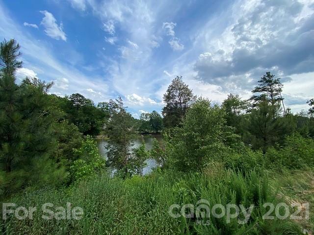 1226 Whitehall Hill Road York, SC 29745 - Photo 18 of 18 Gallery Image 18