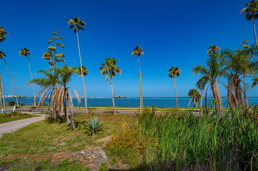 43 Edgewater Drive Dunedin, FL 34698 - Photo 8 of 35