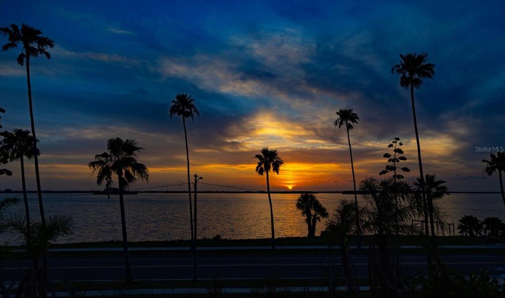 43 Edgewater Drive Dunedin, FL 34698 - Photo 9 of 35