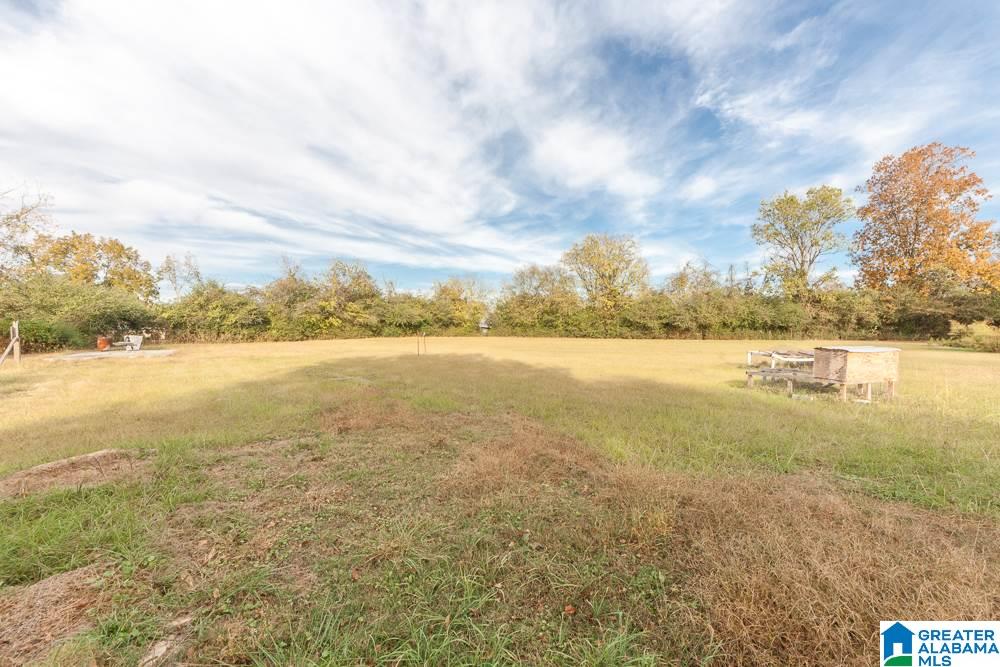 1670 Simpson Road Odenville, AL 35120 - Photo 22 of 23