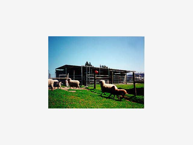 17027 Tarpey Road Watsonville, CA 95076 - Photo 5 of 8 Gallery Image 5
