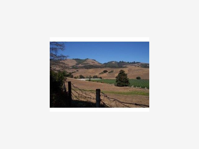 204 Thompson Road Watsonville, CA 95076 - Photo 3 of 9