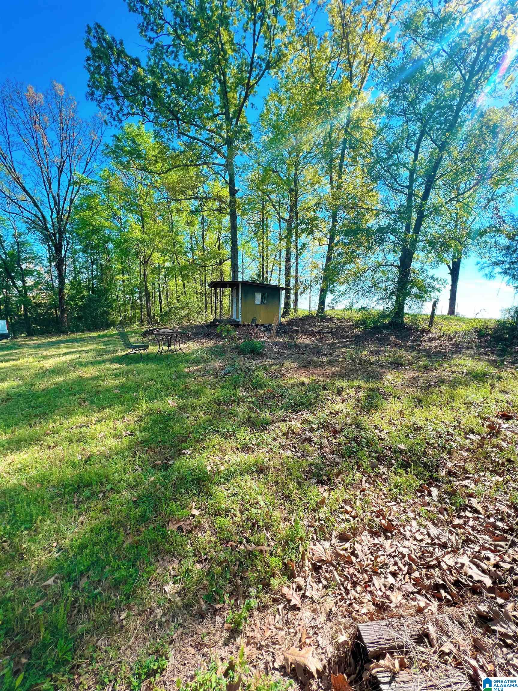 4003 Curry Station Road Munford, AL 36268 - Photo 9 of 37