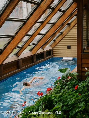 a view of a backyard with plants