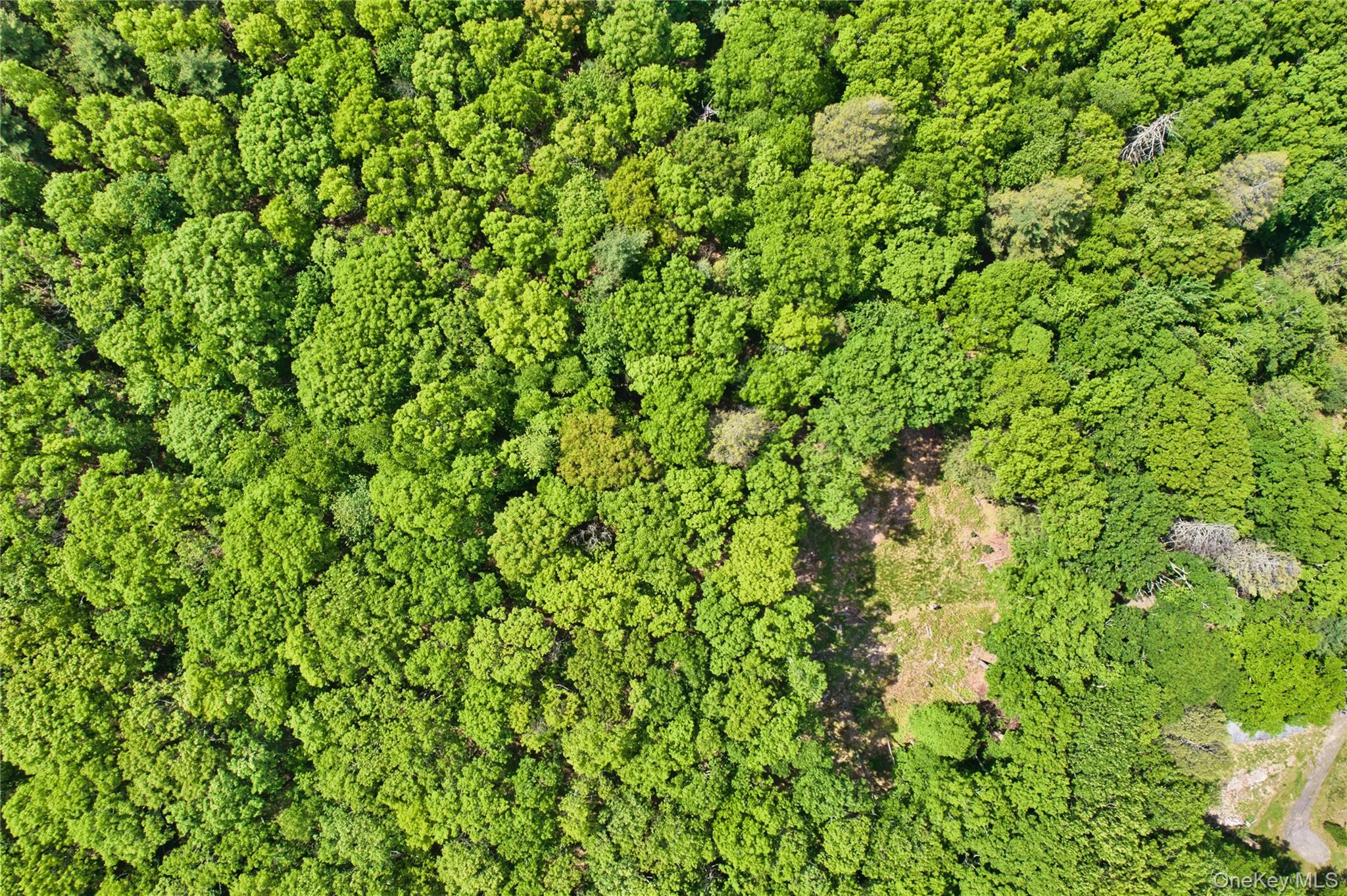 Jersey Road Wurtsboro, NY 12790 - Photo 6 of 7
