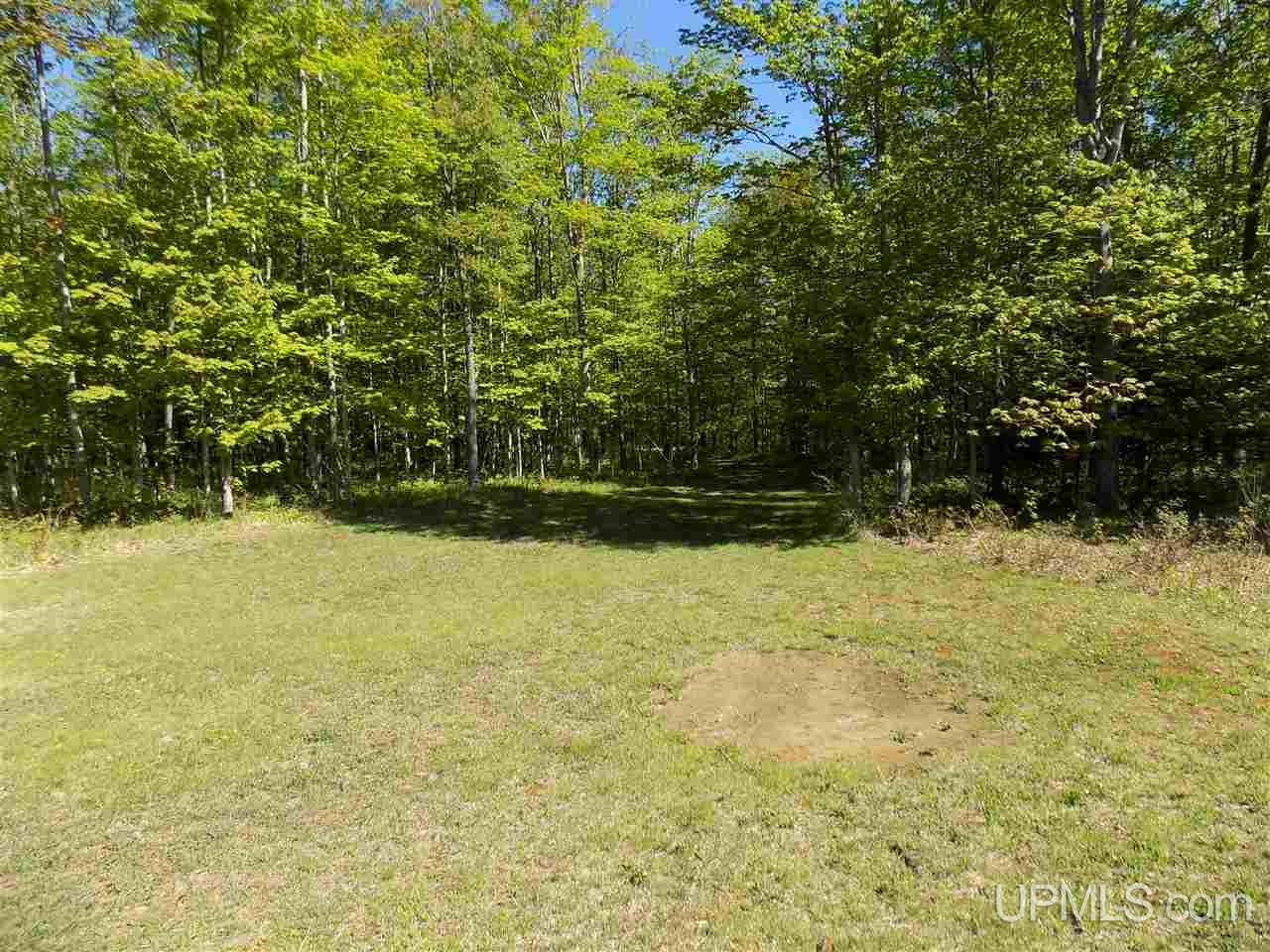 Tbd Northshore Bluffs Road, Unit 4 Manistique, MI 49854 - Photo 17 of 21