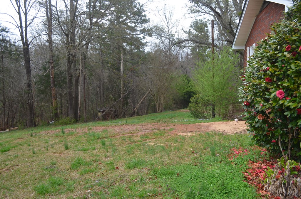 2012 Nation Road Hodges, SC 29653 - Photo 24 of 34