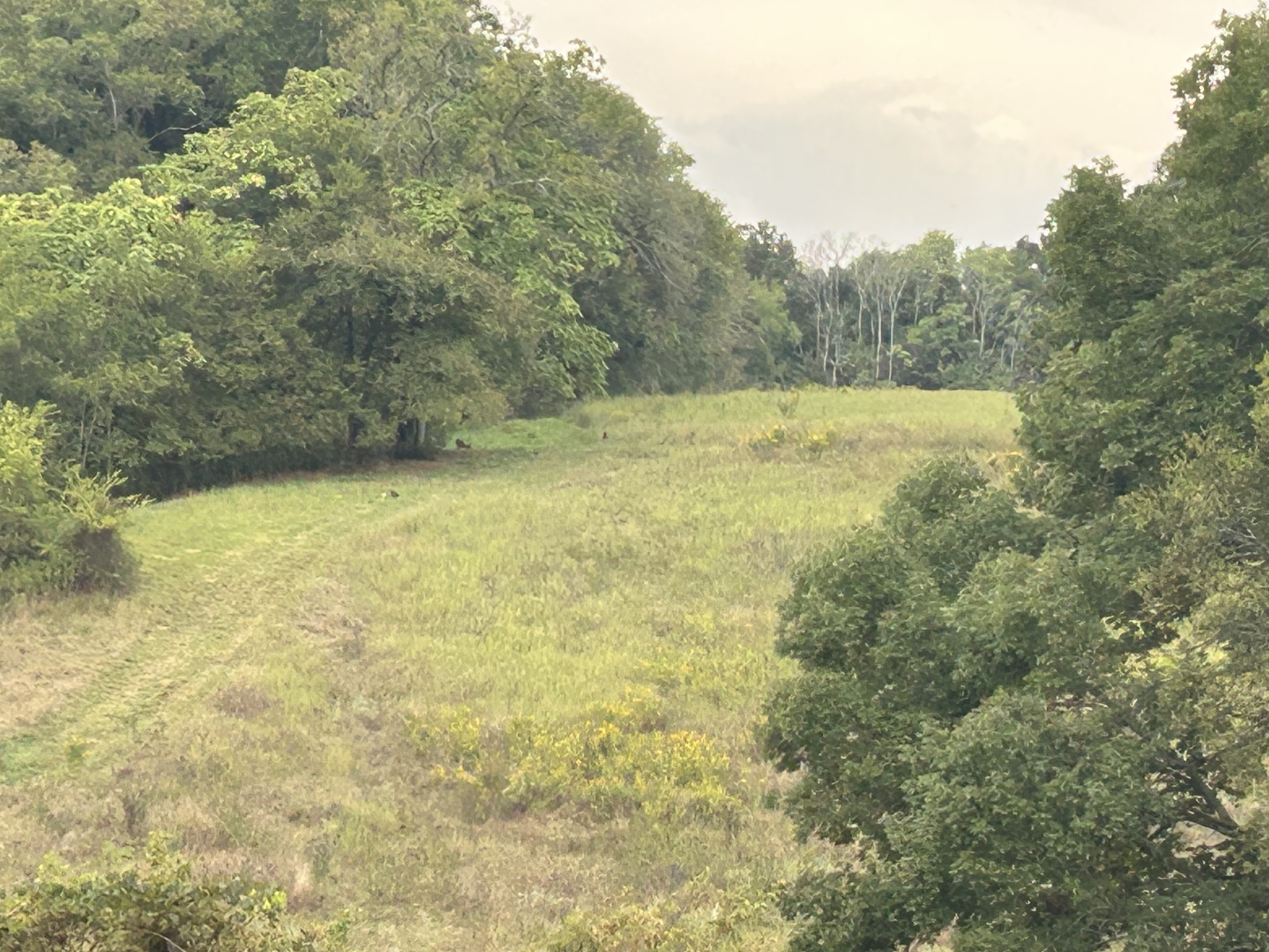 2903 Dunlap Road Duck River, TN 38454 - Photo 12 of 14