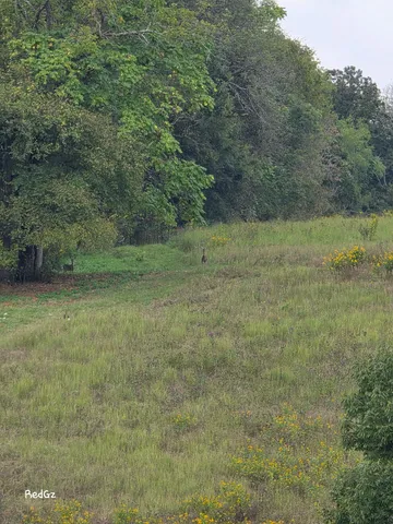 $1,200,000 | 2903 Dunlap Road, Duck River, TN 38454