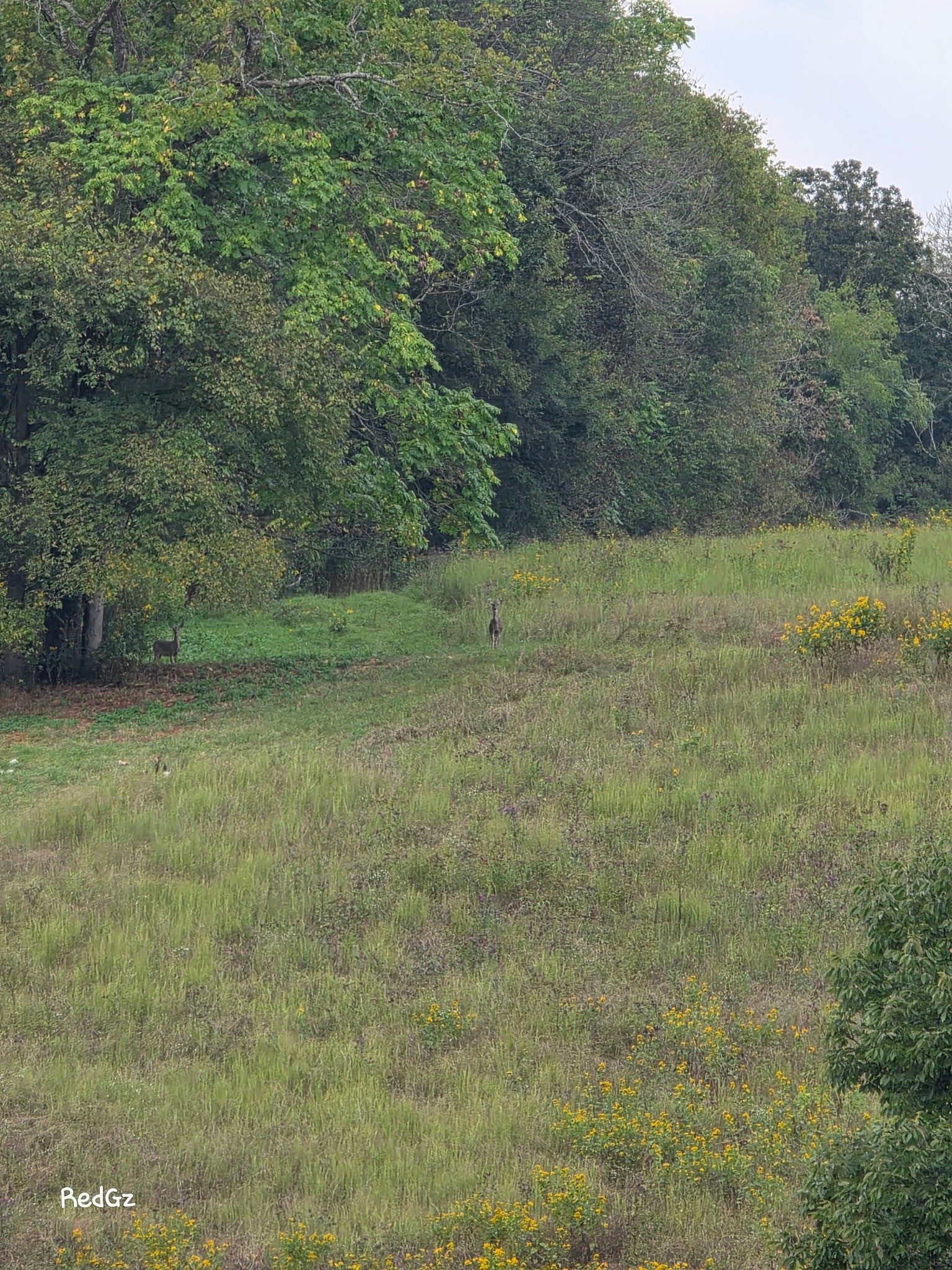 2903 Dunlap Road Duck River, TN 38454 - Photo 13 of 14