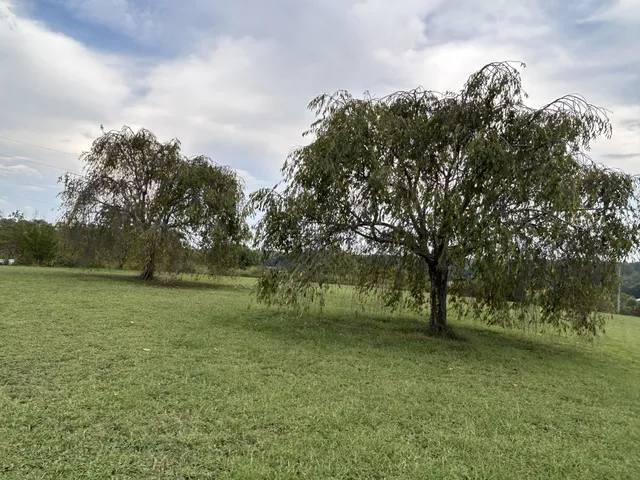 $1,200,000 | 2903 Dunlap Road, Duck River, TN 38454