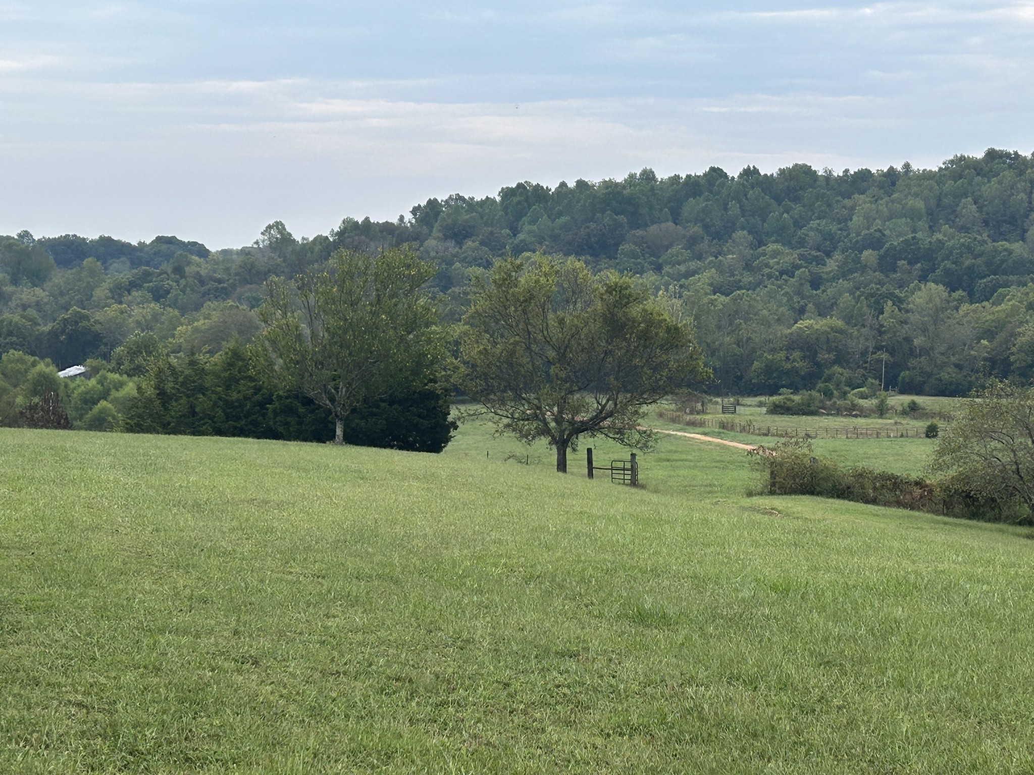 2903 Dunlap Road Duck River, TN 38454 - Photo 5 of 14