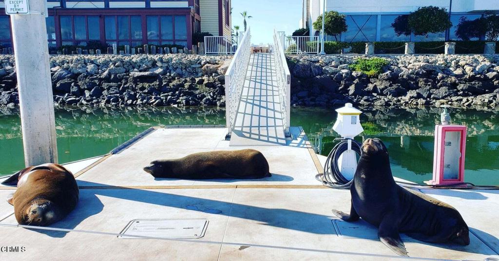 3110 Sunset Lane Oxnard, CA 93035 - Photo 28 of 33